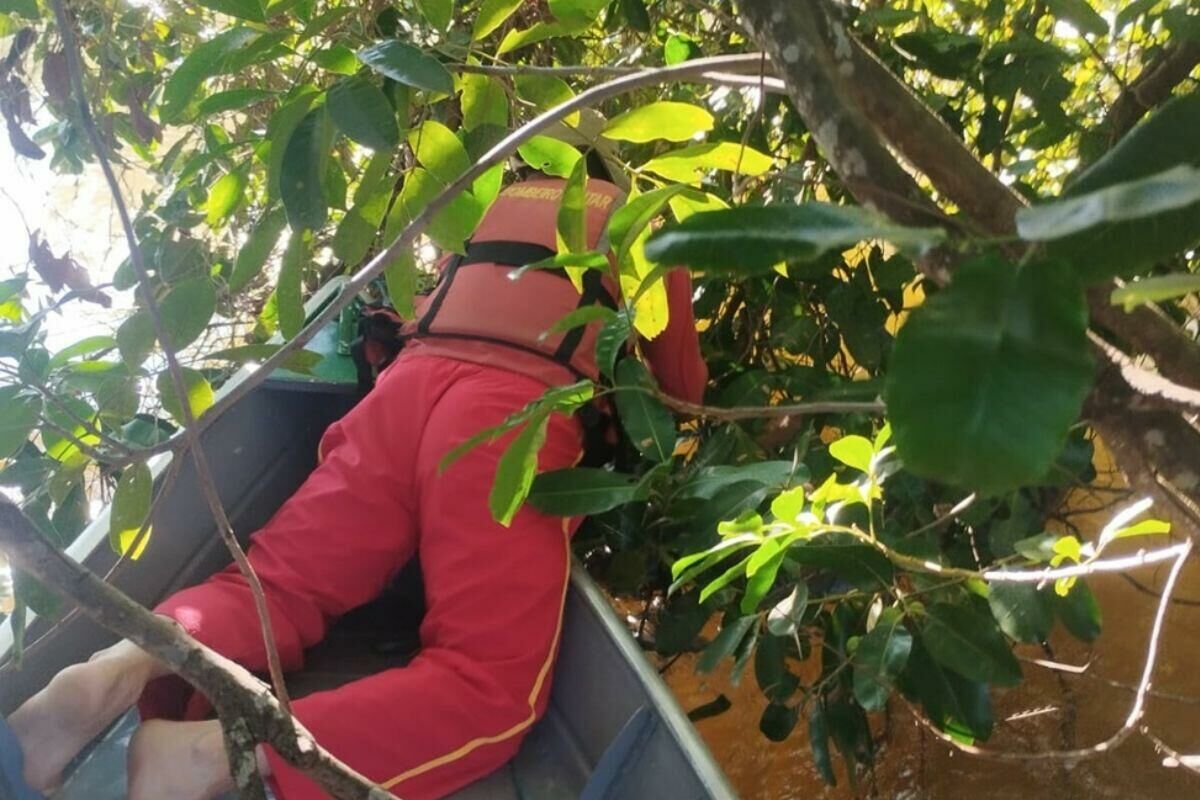 Imagem de compartilhamento para o artigo Corpo de trabalhador rural é encontrado pelos Bombeiros após dois dias de busca no rio Correntes em Sonora da MS Todo dia